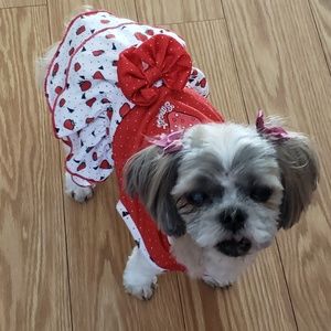 Meet your Posher, Cheryl